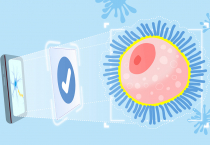 Computer vision has an important role to play in medical diagnostics. Building on a decade of work in the field, Professor Kevin Tsia recently deployed an AI-driven, ultra-fast imaging tool to speed up cancer diagnosis and, in a separate project, applied 